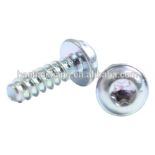 Supplier custom metal galvanized plum head ground screw